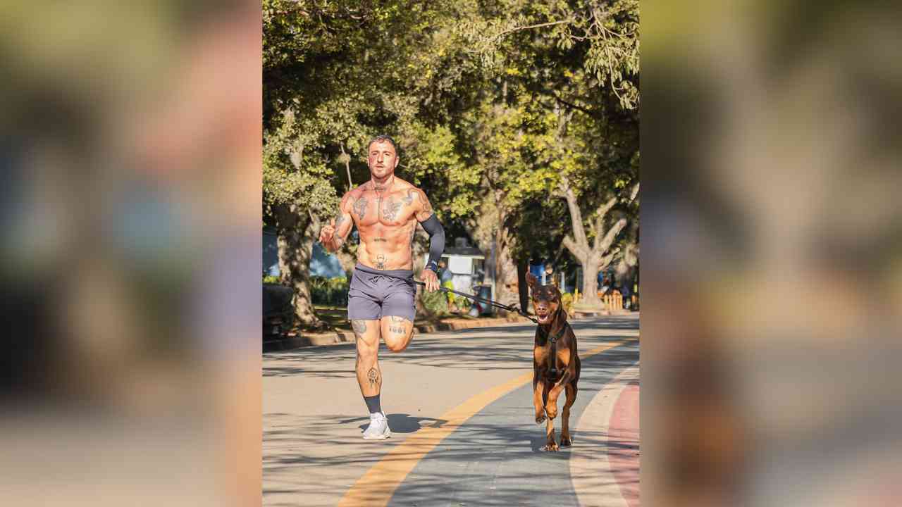 Nero, cão Dobermann, do bom dia canino