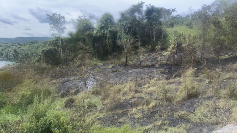Incêndio no Pau Furado