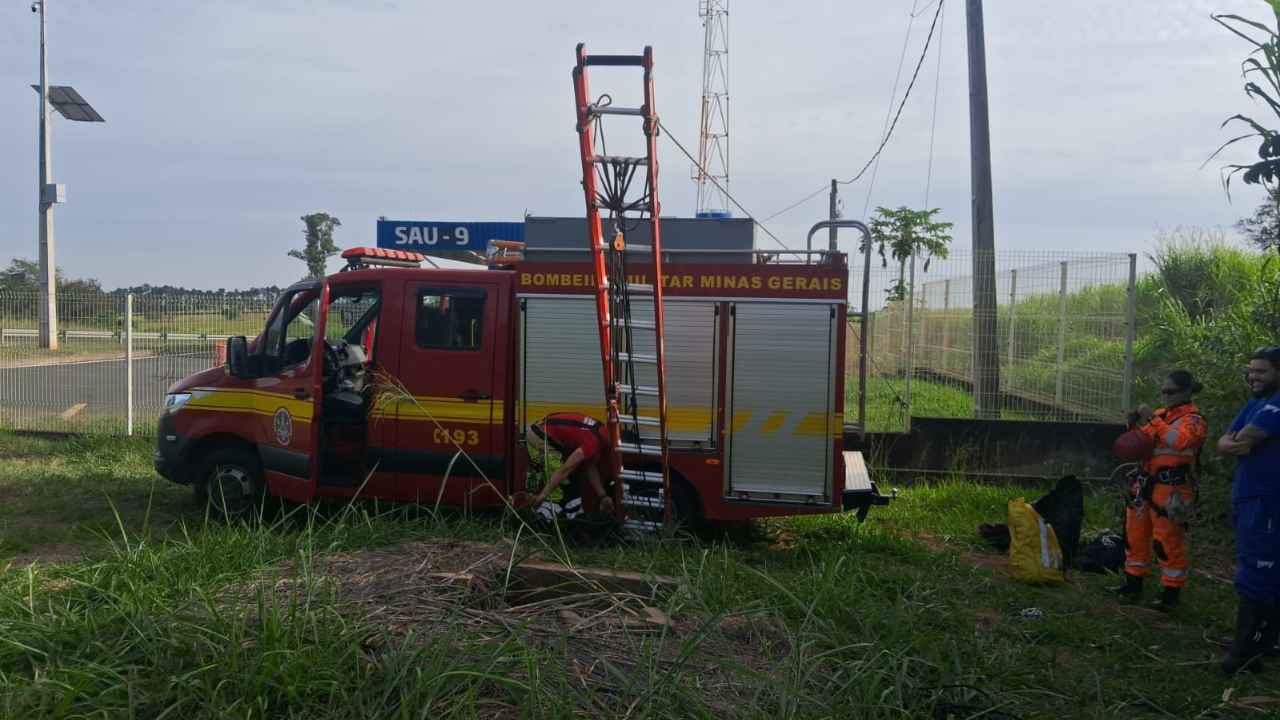 Cascavel e teiú ficam presos em cisterna Cascavel e teiú ficam presos em cisterna