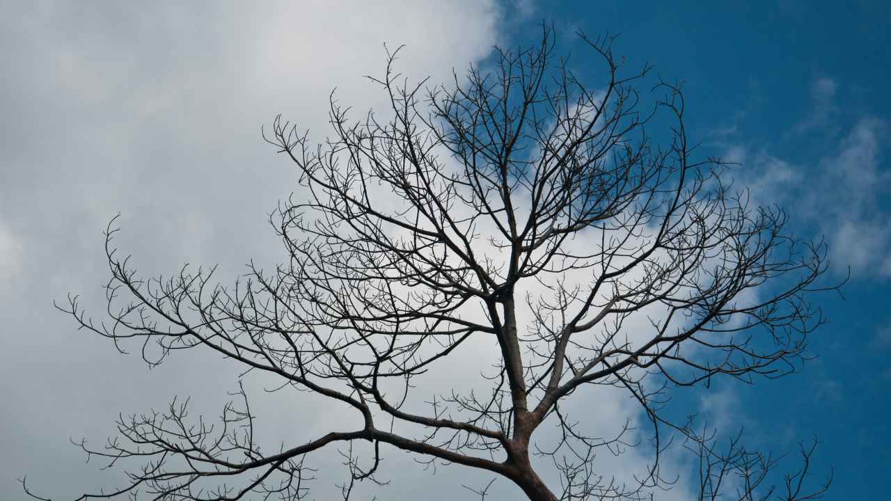 Triângulo pode ter calor Triângulo pode ter calor