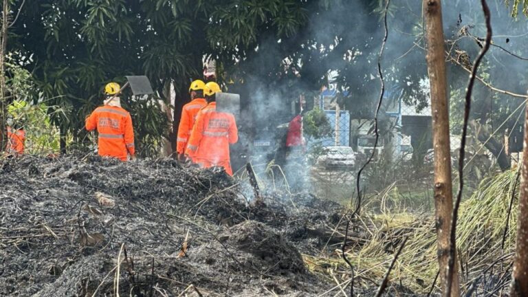 Incêndio atinge lotes vazios e Corpo de Bombeiros foi acionado para conter as chamas. Crédito: Reprodução/Corpo de Bombeiros.