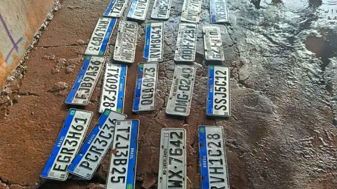 placas perdidas placas perdidas