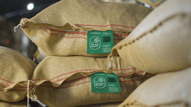 Minas Gerais se destaca na produção cafeeira e projeto avanço na Safra 2026 – Crédito: Valter Campanato/Agência Brasil/Reprodução