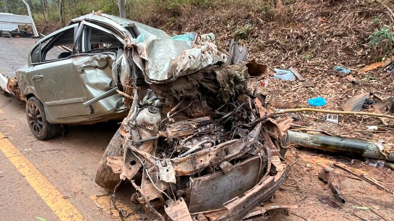 carro de vítima que bateu em árvore em rodovia mineira