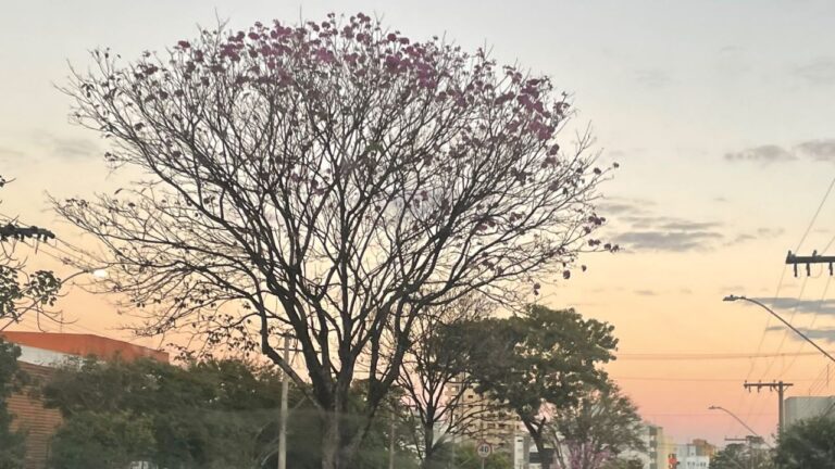 chuva junho julho tempo triangulo