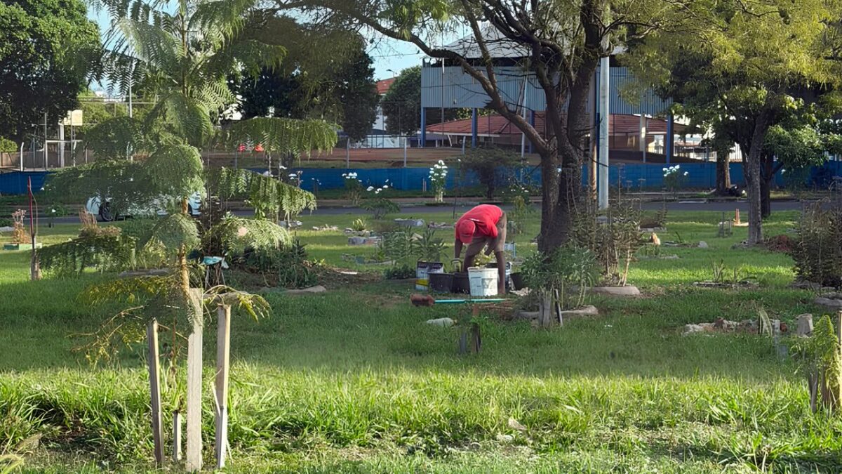 jardineiro jardineiro