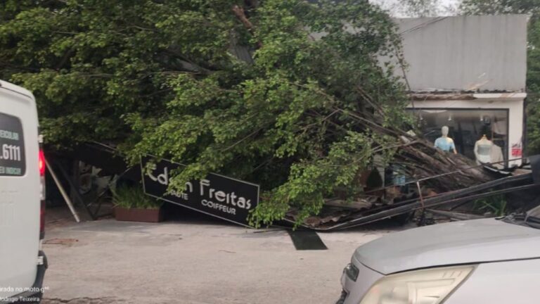 Ventania derruba árvore nas proximidades de um shopping em Campo Grande, zona oeste do Rio