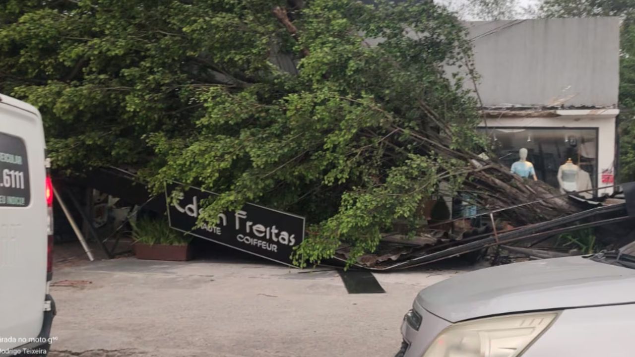 Ventania derruba árvore nas proximidades de um shopping em Campo Grande, zona oeste do Rio
