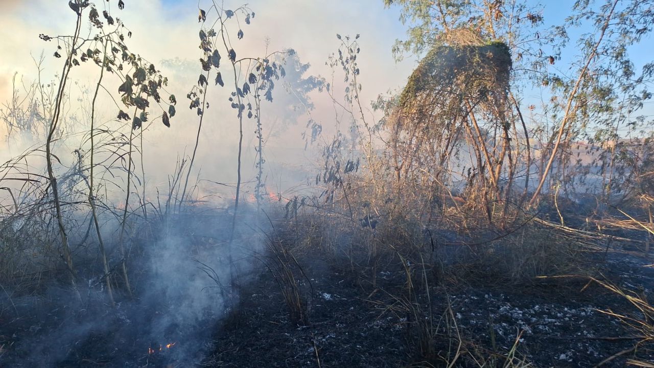 Incendios Incendios
