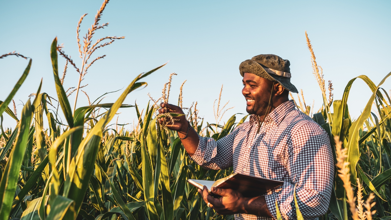 vagas para mestrado e doutorado em Agronomia vagas para mestrado e doutorado em Agronomia