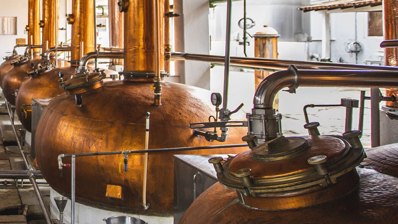 pontos de produção cachaça pontos de produção cachaça