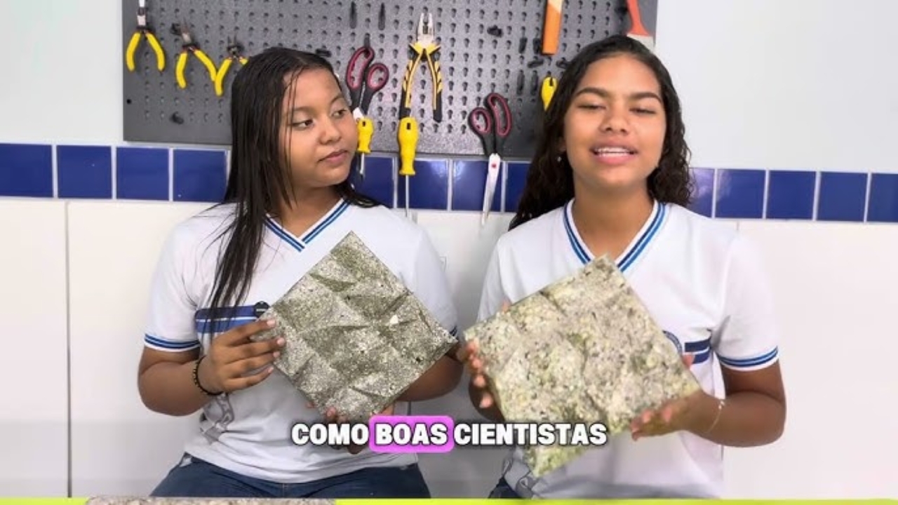 cascas de ostras