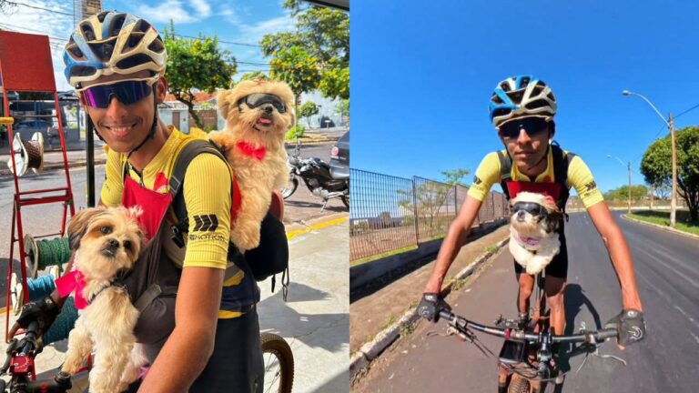 ciclista e cachorrinhas