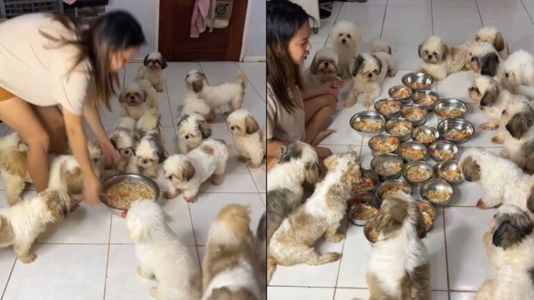 oração antes de comer