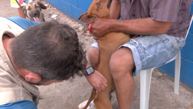 Vacinação antirrábica em Uberlândia já imunizou mais de 13 mil animais na zona rural