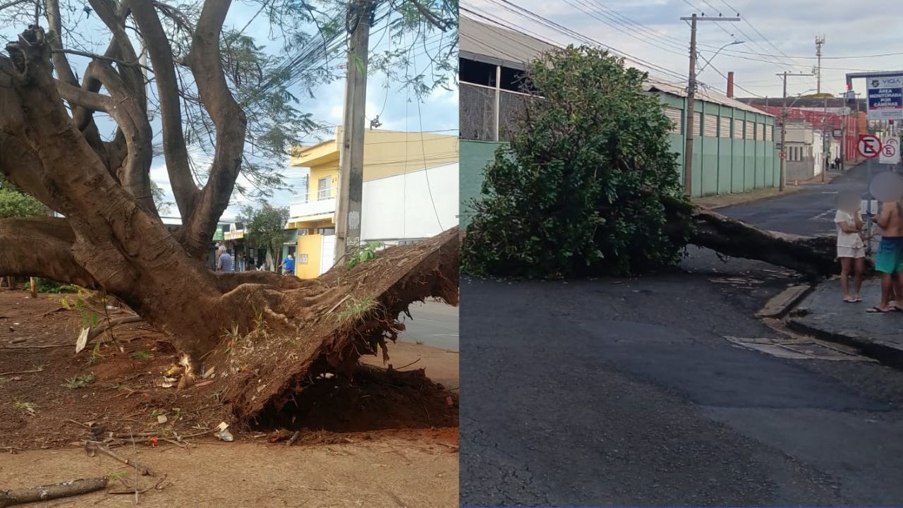 Chuva em Uberlândia Chuva em Uberlândia