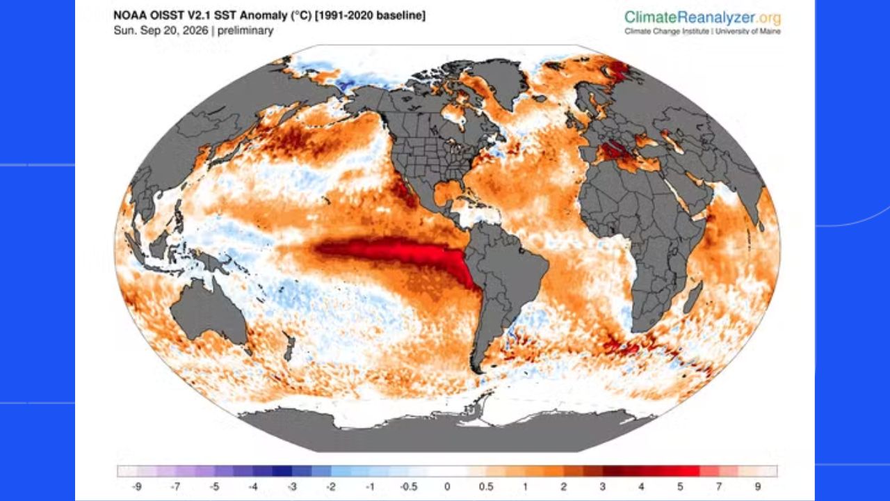 El nino El nino