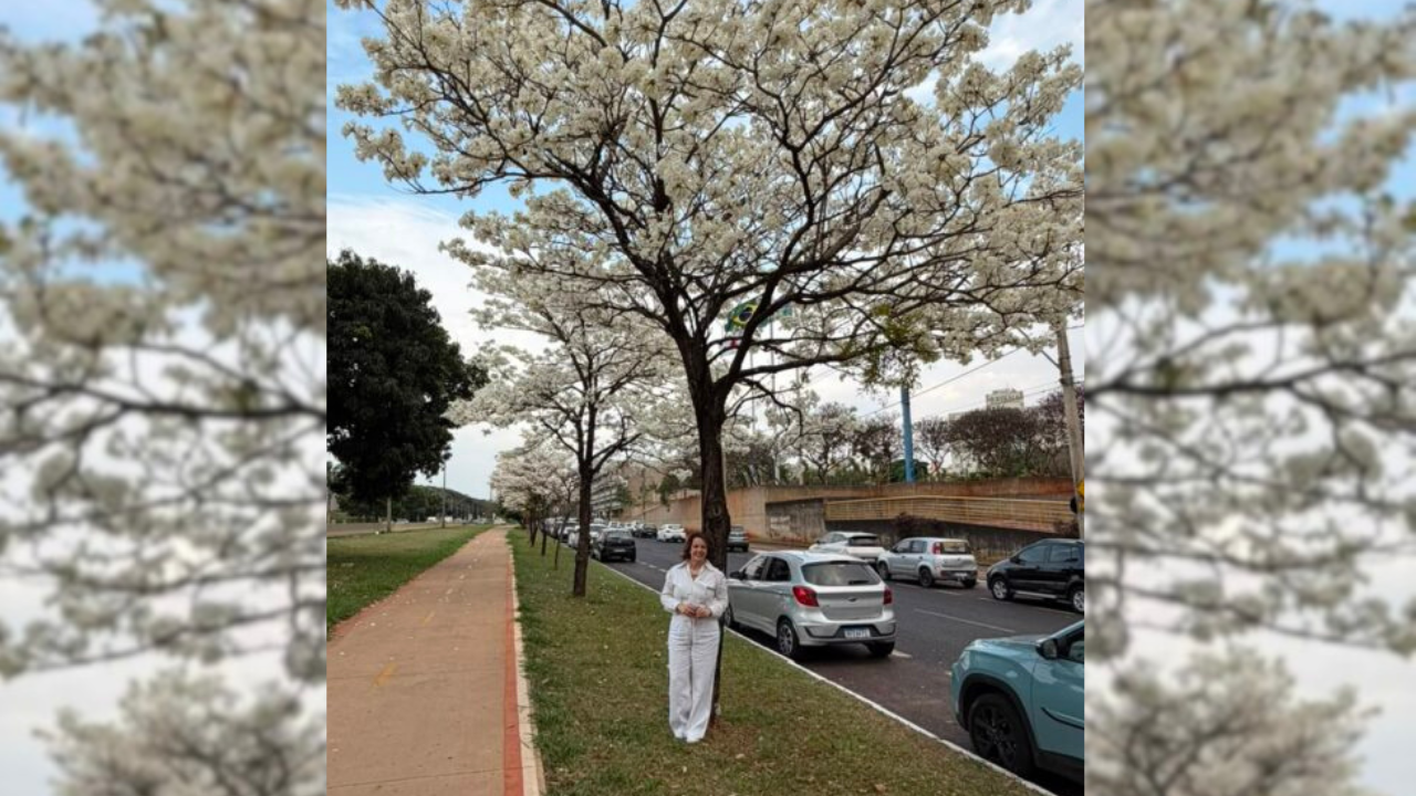 Entre o concreto e a queda das árvores, uma força delicada lembra que o amanhã ainda pode ser leve