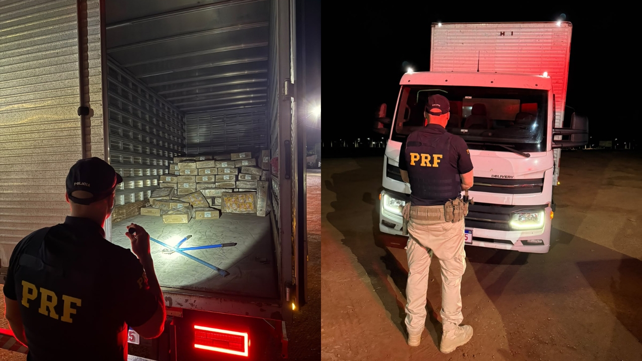 PRF encontrou 3,4 toneladas de frango congelado na BR-365 dentro de um caminhão furtado e com placas clonadas