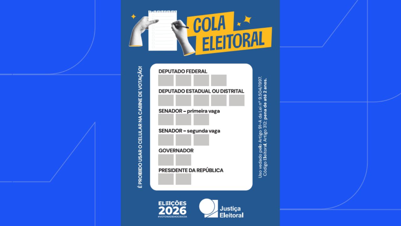 Eleições 2026 colinha Eleições 2026 colinha