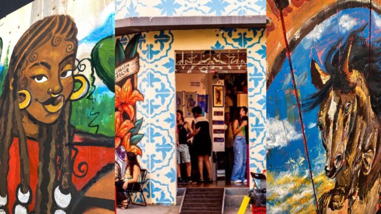 ateliê curva desague exposição