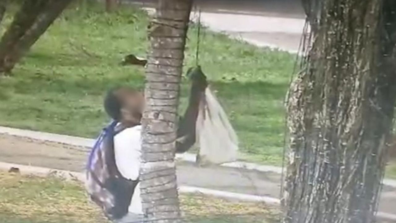 homem furtando fiação de iluminação de Natal