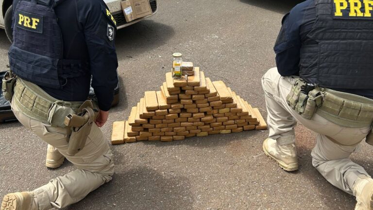 drogas encontradas após perseguição na BR-365