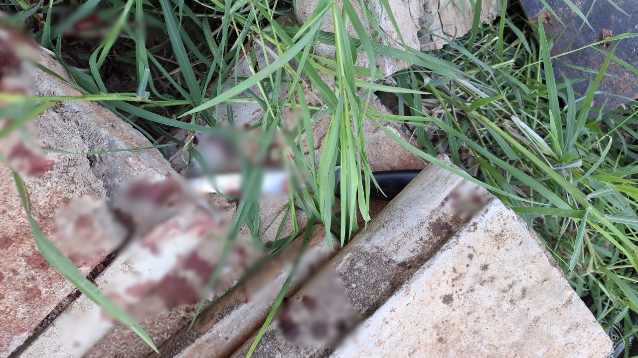 Mulher é esfaqueada Mulher é esfaqueada