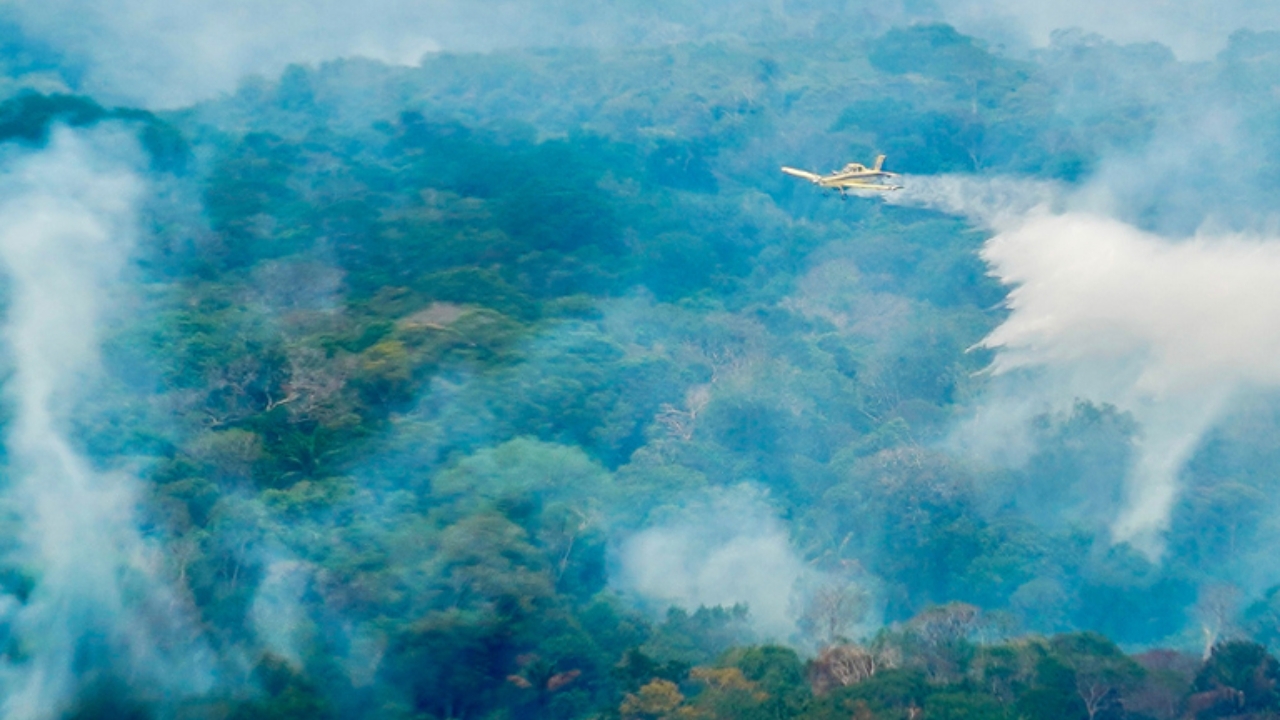 Amazonas