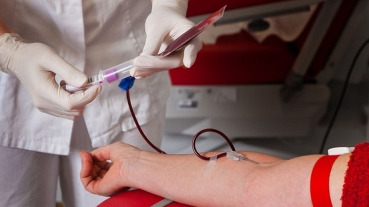 Doar sangue