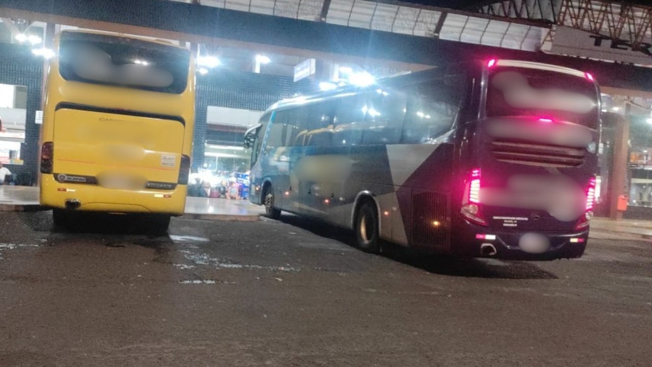 ônibus ônibus
