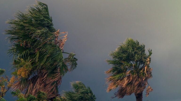 Alerta de tempestade