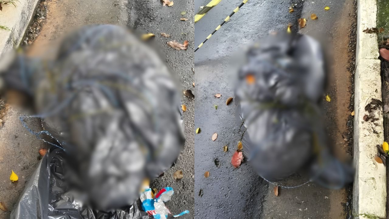 Os corpos atribuidos a um suposto "serial killer de São Paulo" foram localizados de três formas comuns usadas pelas facções: amarrados em sacos plásticos ou cobertores, carbonizados ou jogados em córregos ou rios.