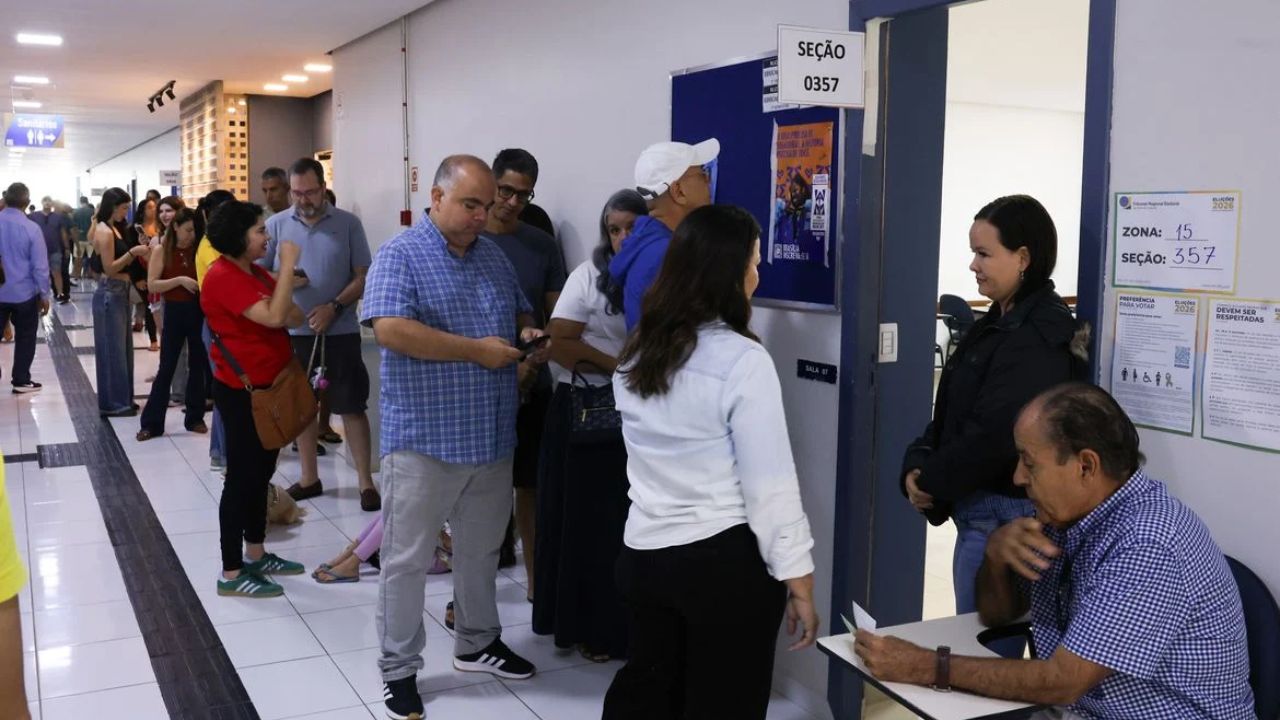 votar votar